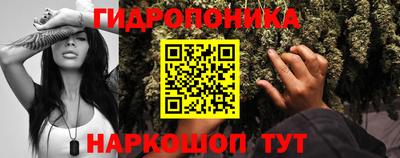 apvp Лесосибирск