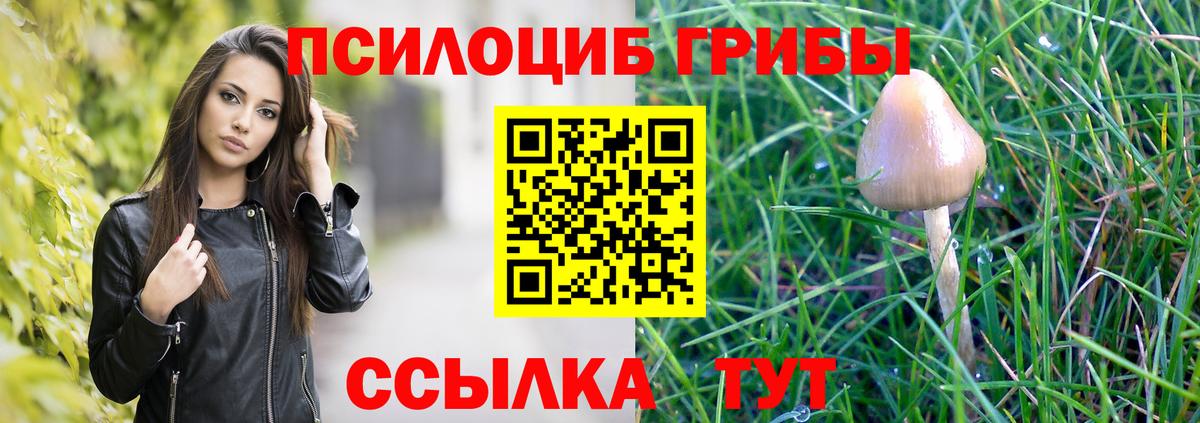 Псилоцибиновые грибы Magic Shrooms  Вход с VPN  Южно-Сахалинск  купить наркоту  Галлюциногенные грибы MAGIC MUSHROOMS 